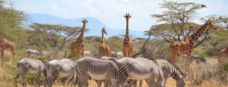 1665574526_8_Samburu-National-Park-1170x450